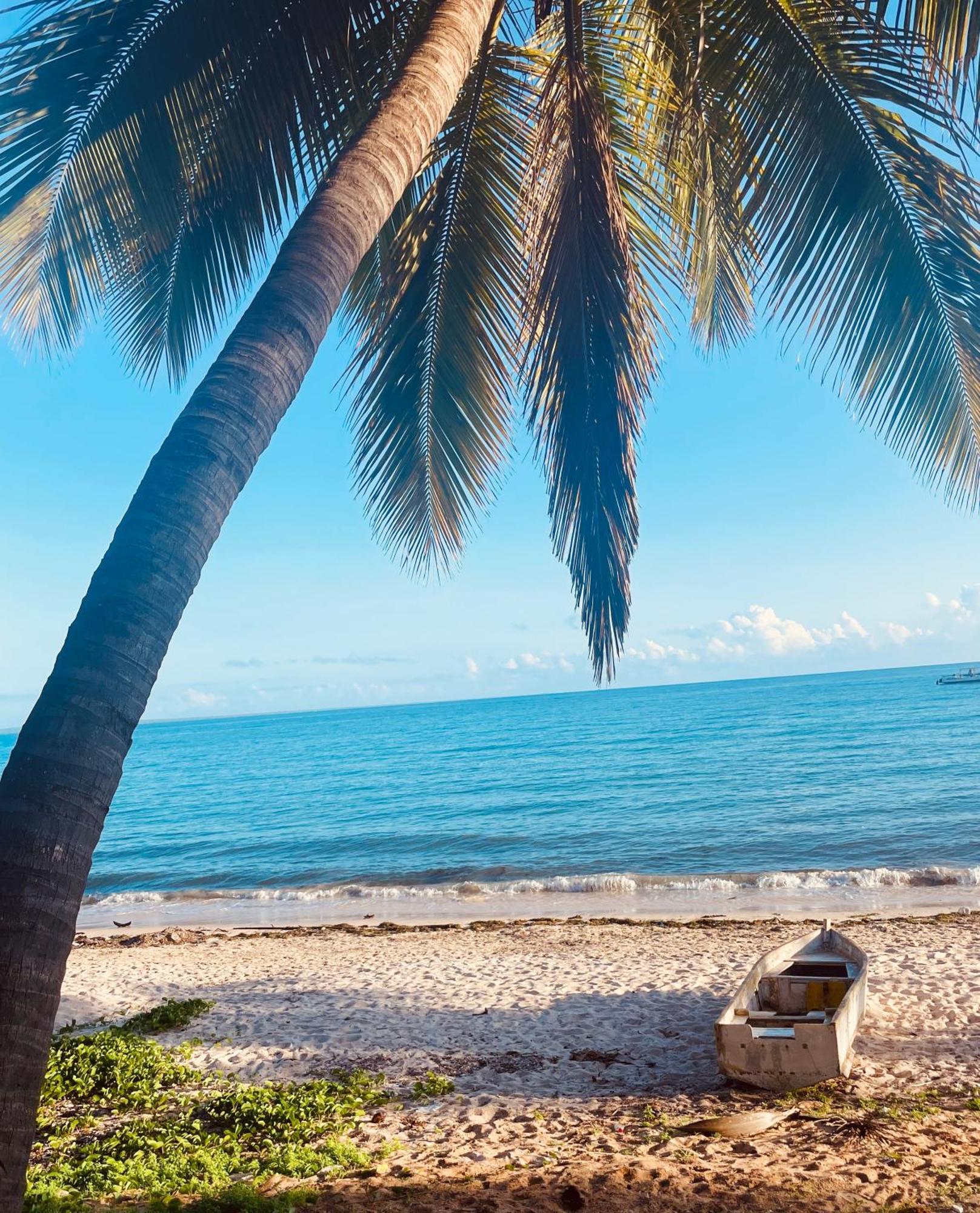 The Nautilus Pemba Hotel Bagian luar foto
